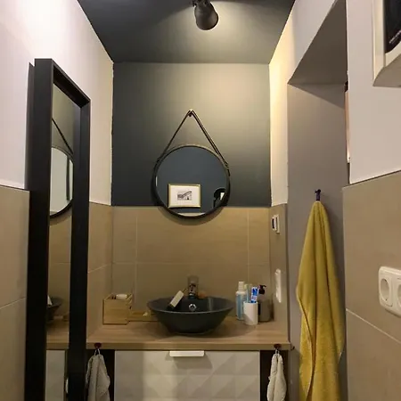 Top Studio Im Gruenen Nah Phantasialand Bruehl (Rhineland)