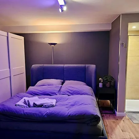 Appartement Studio Apartment Naehe Phantasialand, Zwischen Koeln Und Bonn, Ruhig Im Gruenen Gelegen Brühl